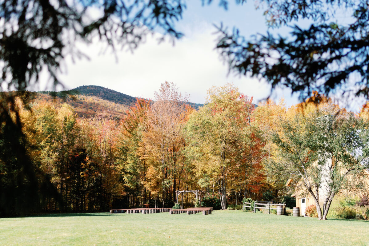 A sunny field and wedding ceremony site in autumn. The ceremony site is at the end of the field partially shaded by birches and maples. A mountain can be seen above the trees in the distance.