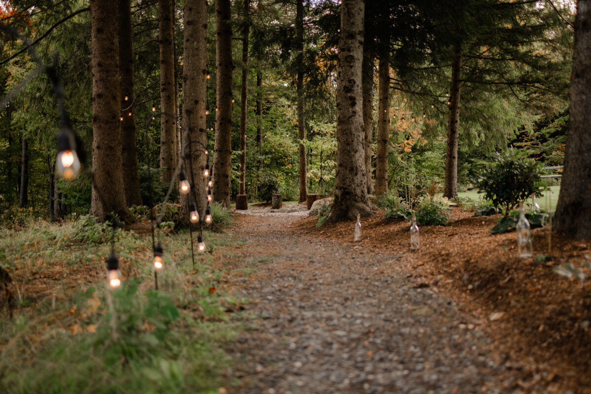 Winding gravel path through a pine grove to a secluded fire pit.